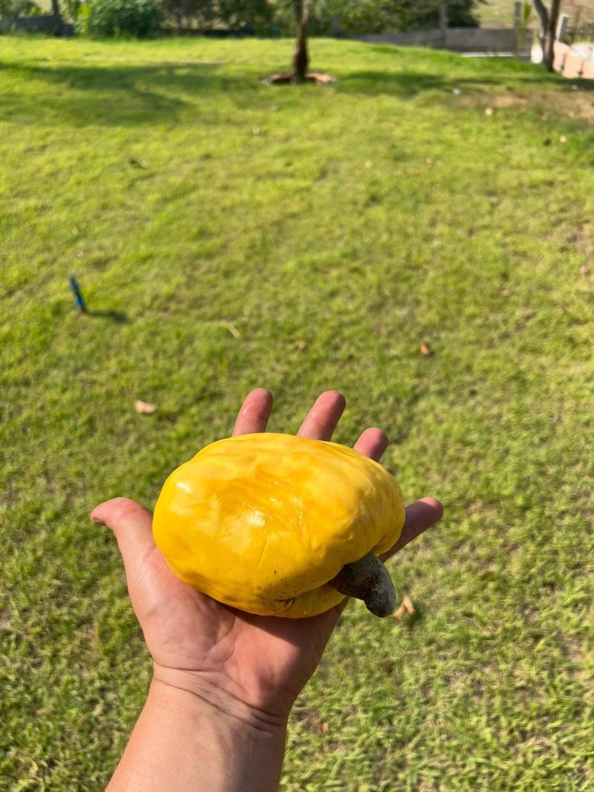 Pousada Alter Para Todos Alter do Chão Luaran gambar